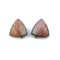 Polychrome Jasper Oxidized Silver Stud Earrings