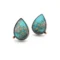 Sea Sediment Jasper Silver Earrings