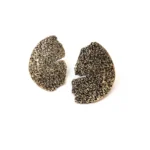 Organic Textured Brass Stud Earrings