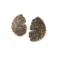 Organic Textured Brass Stud Earrings